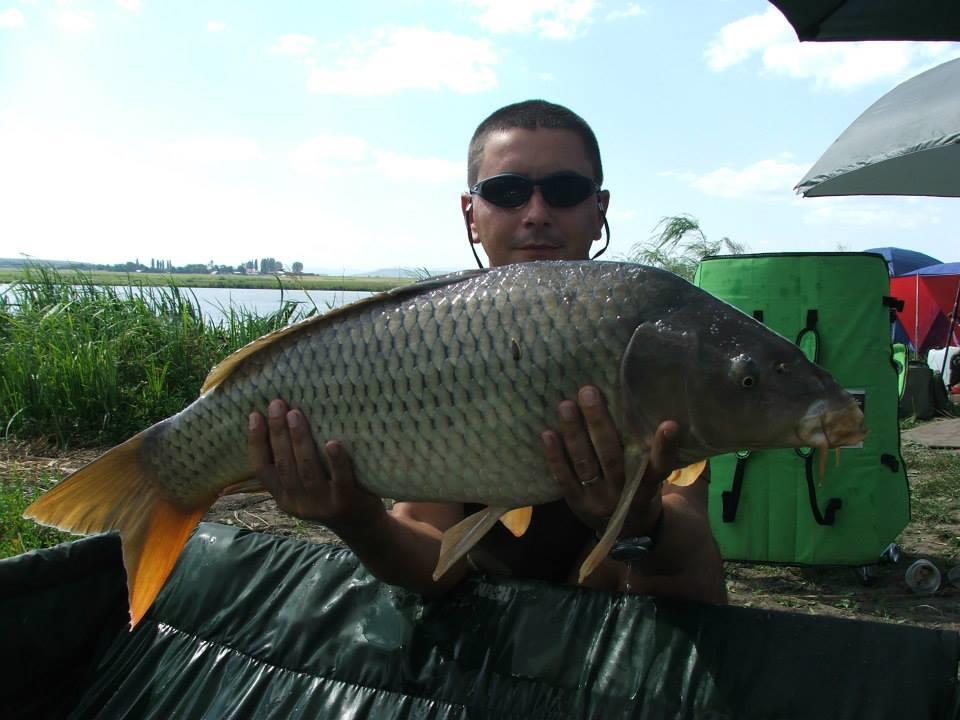 Lates 5-8 august 2013 ...cu prietenii - 11753126197746280897422116013831n.jpg